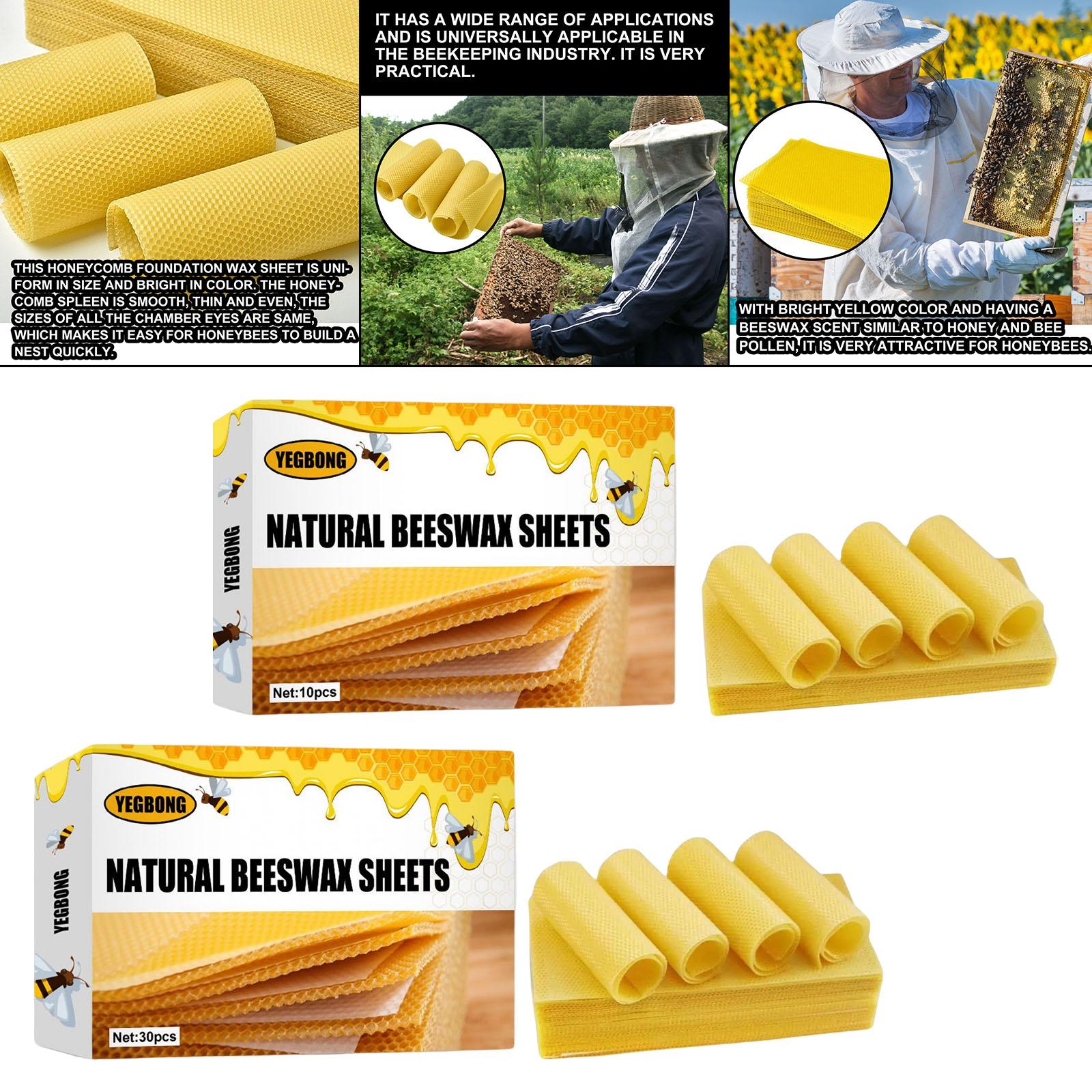 Beeswax Sheets, Beekeeping Fou - Candle Making With Beeswax ulasan dan harga